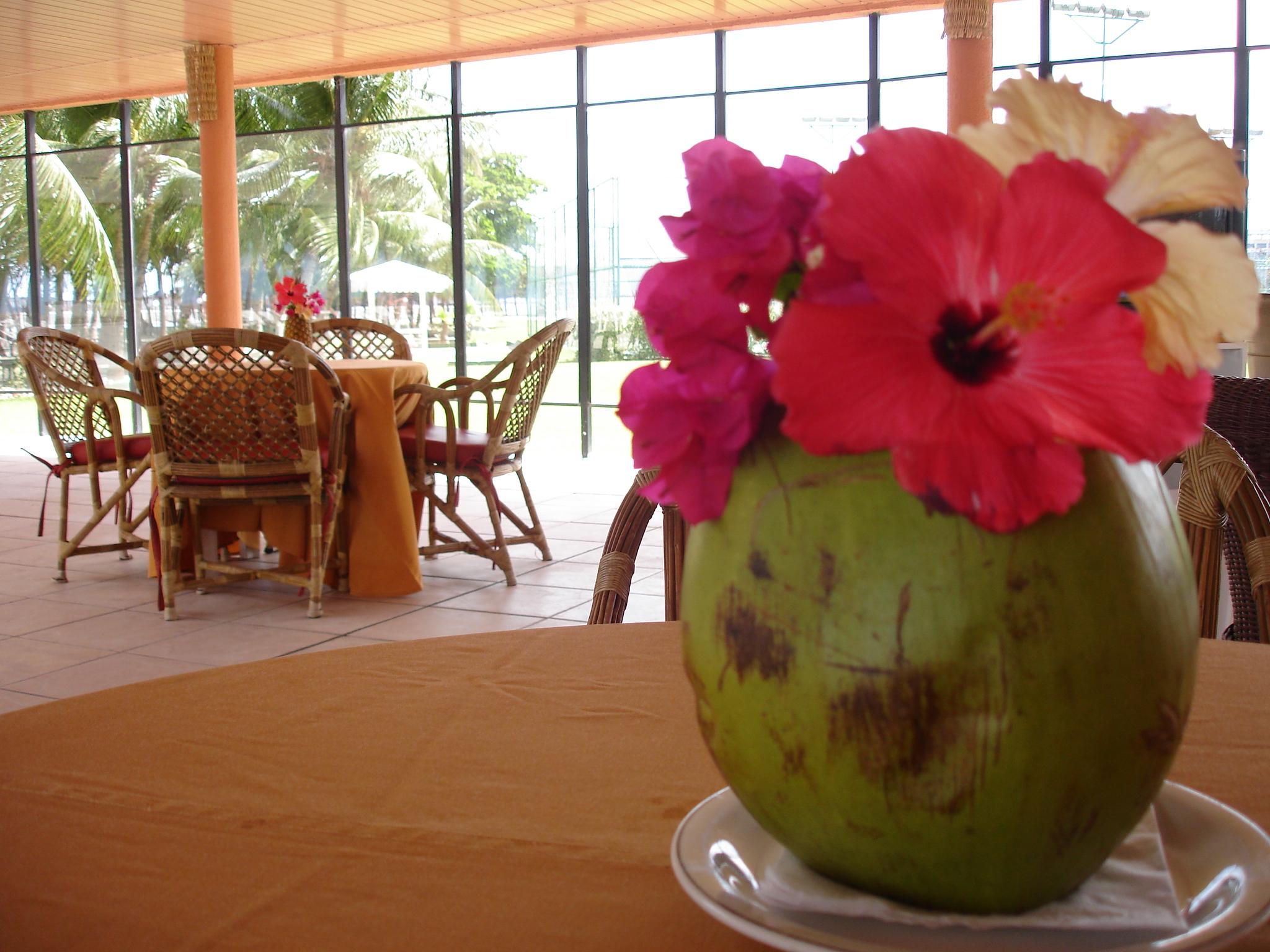 Marina Park Hotel Fortaleza  Exterior foto A coconut flower